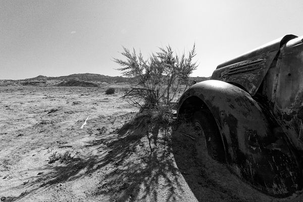 Famous american naitional park view (USA)