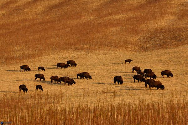 Famous american national park view (USA)