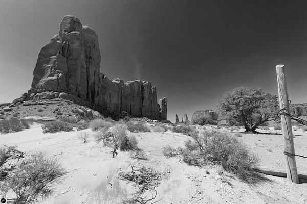 Famous american naitional park view (USA)