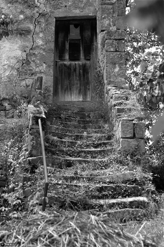 France landscape natural and wild outdoor view