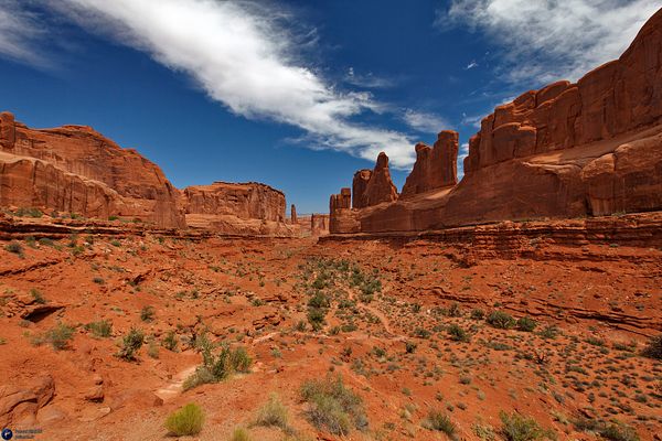 Famous american national park view (USA)