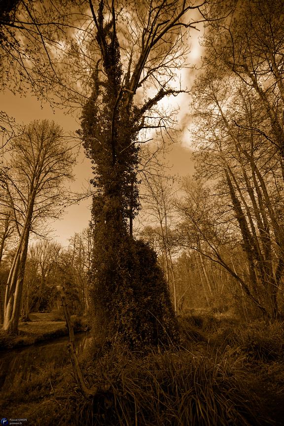 Focus on outdoor details of life