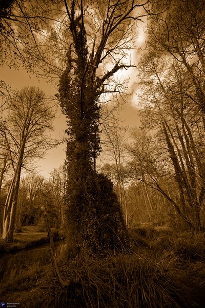 Focus on outdoor details of life