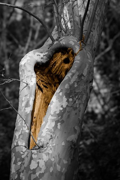 Focus on outdoor details of life