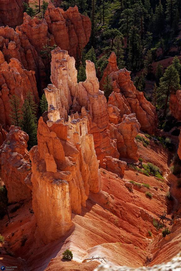 Famous american national park view (USA)