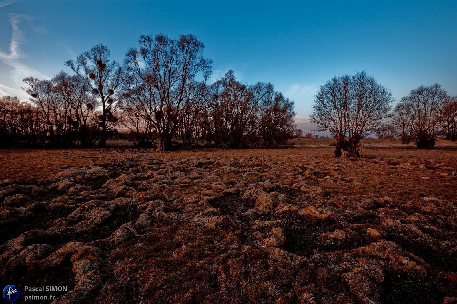 France landscape natural and wild outdoor view