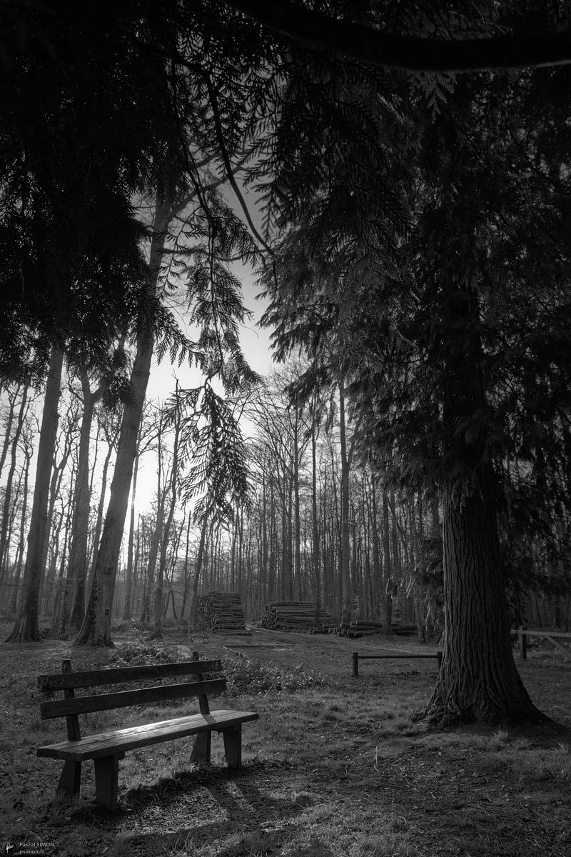 Focus on outdoor details of life