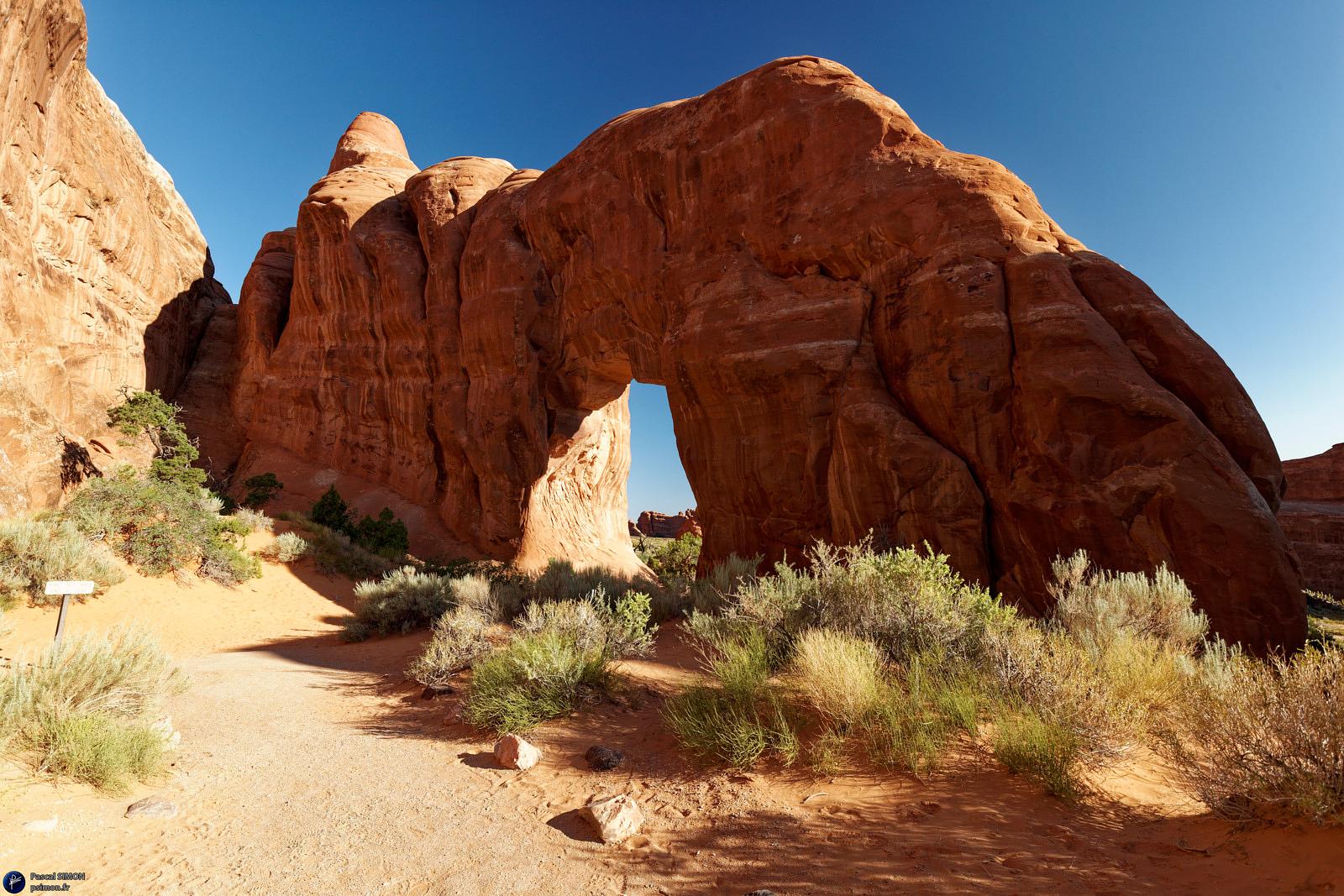 Famous american national park view (USA)