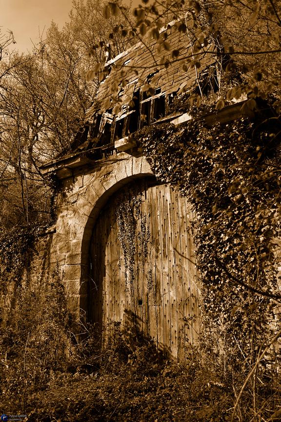 Focus on outdoor details of life