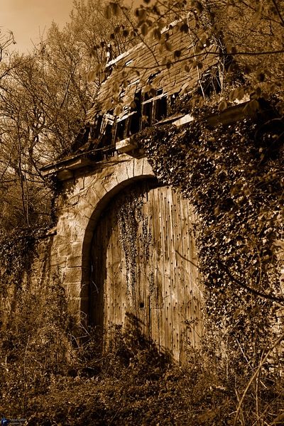 Focus on outdoor details of life