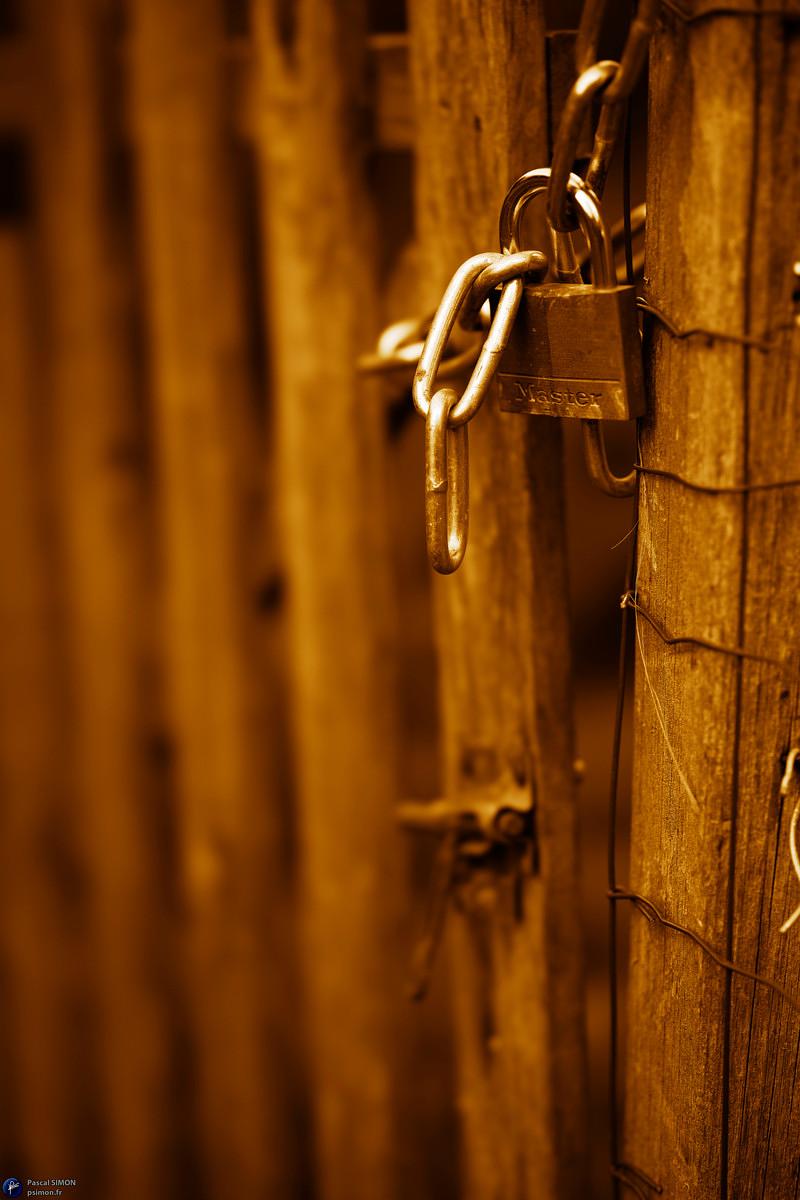 Focus on outdoor details of life