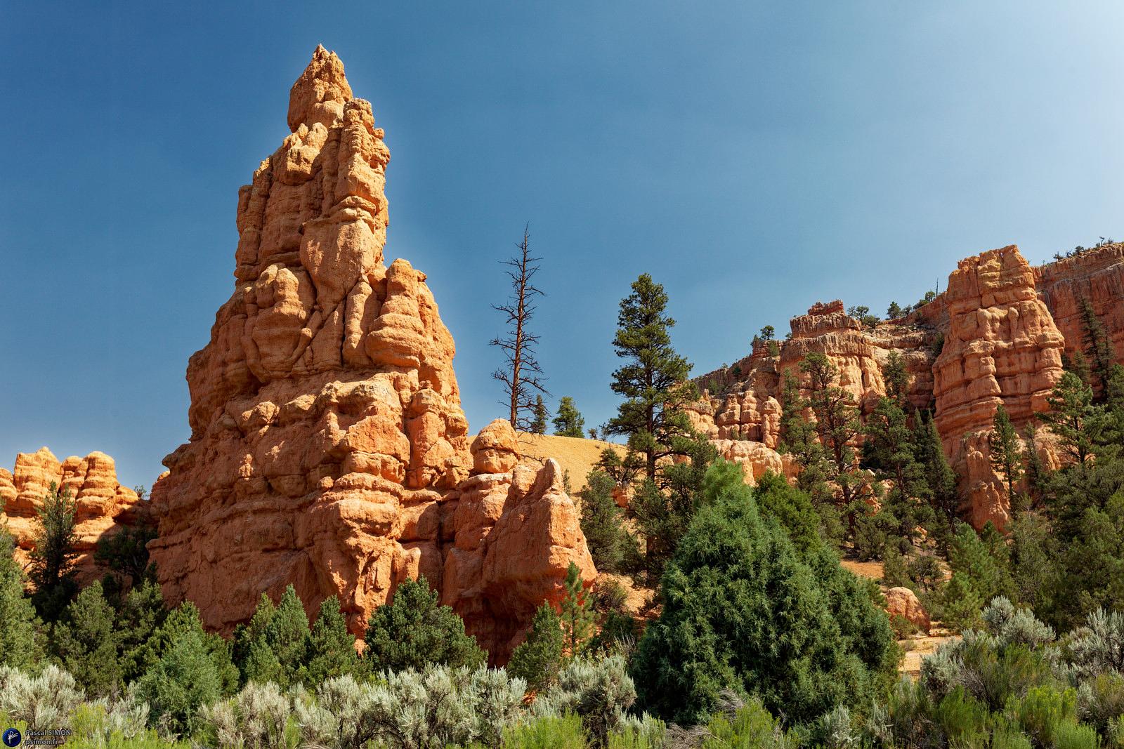 Famous american national park view (USA)