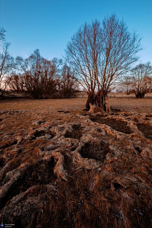 France landscape natural and wild outdoor view