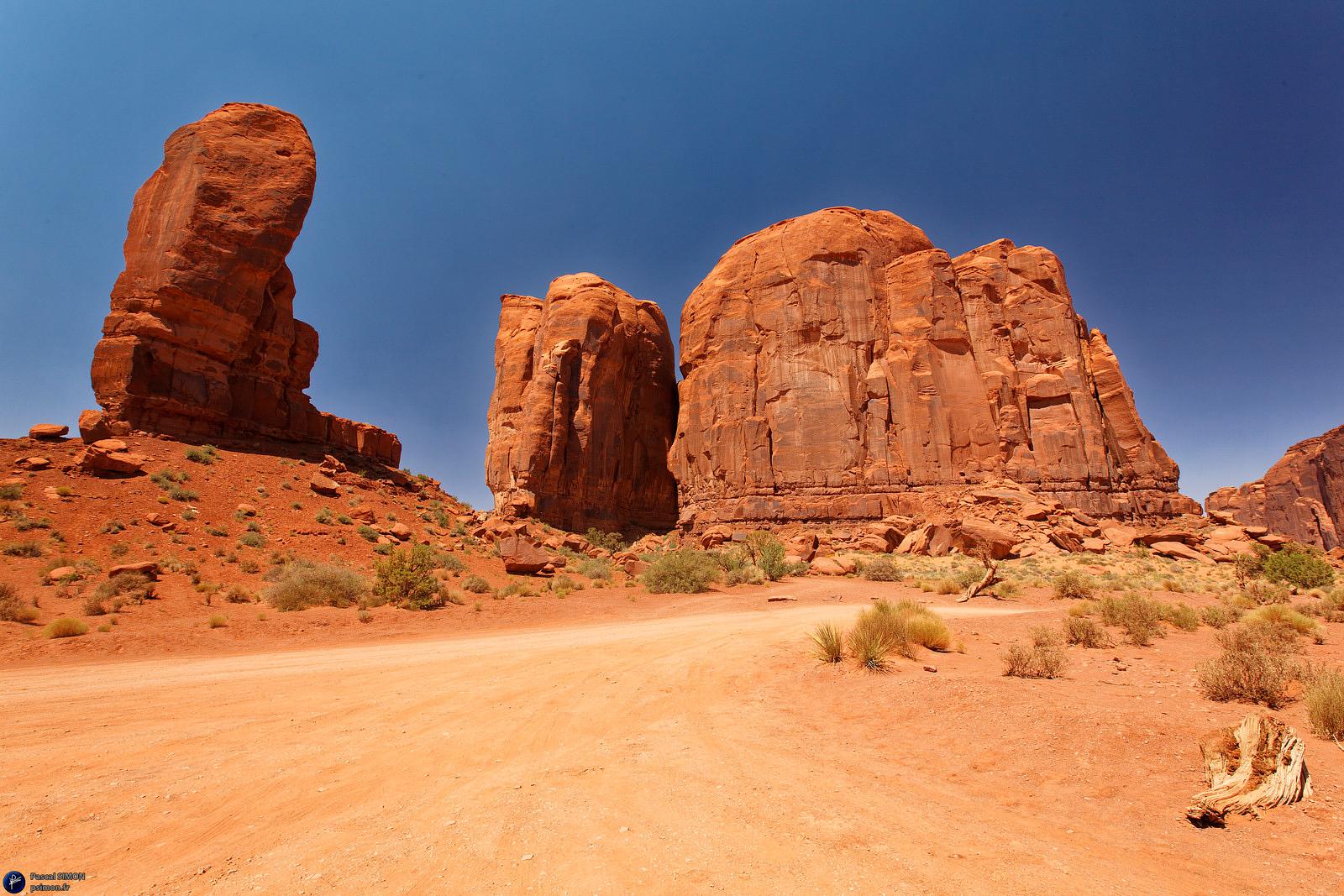 Famous american national park view (USA)
