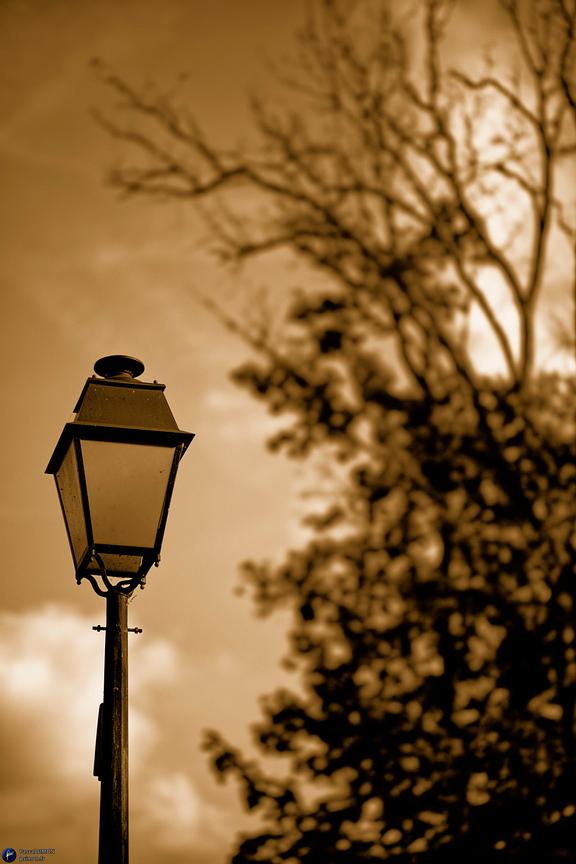 Focus on outdoor details of life