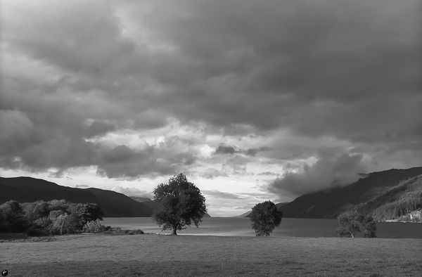 Scotland typical natural and wild outdoor view