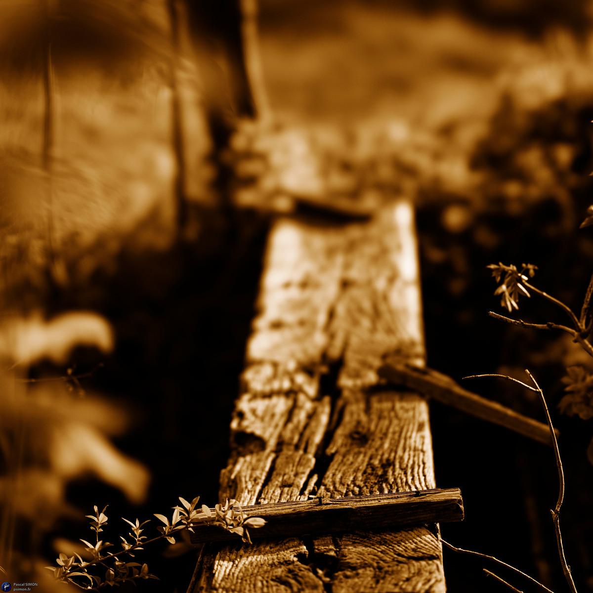 Focus on outdoor details of life