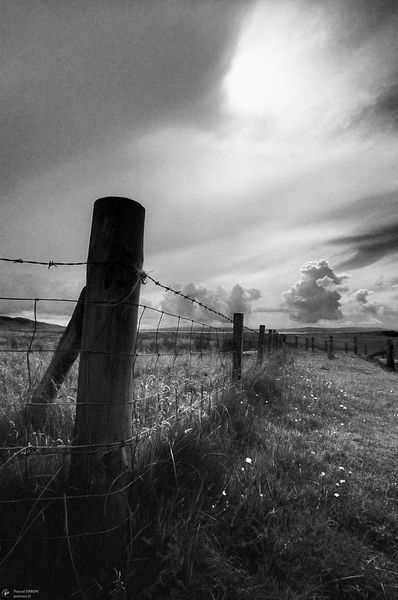 Scotland typical natural and wild outdoor view